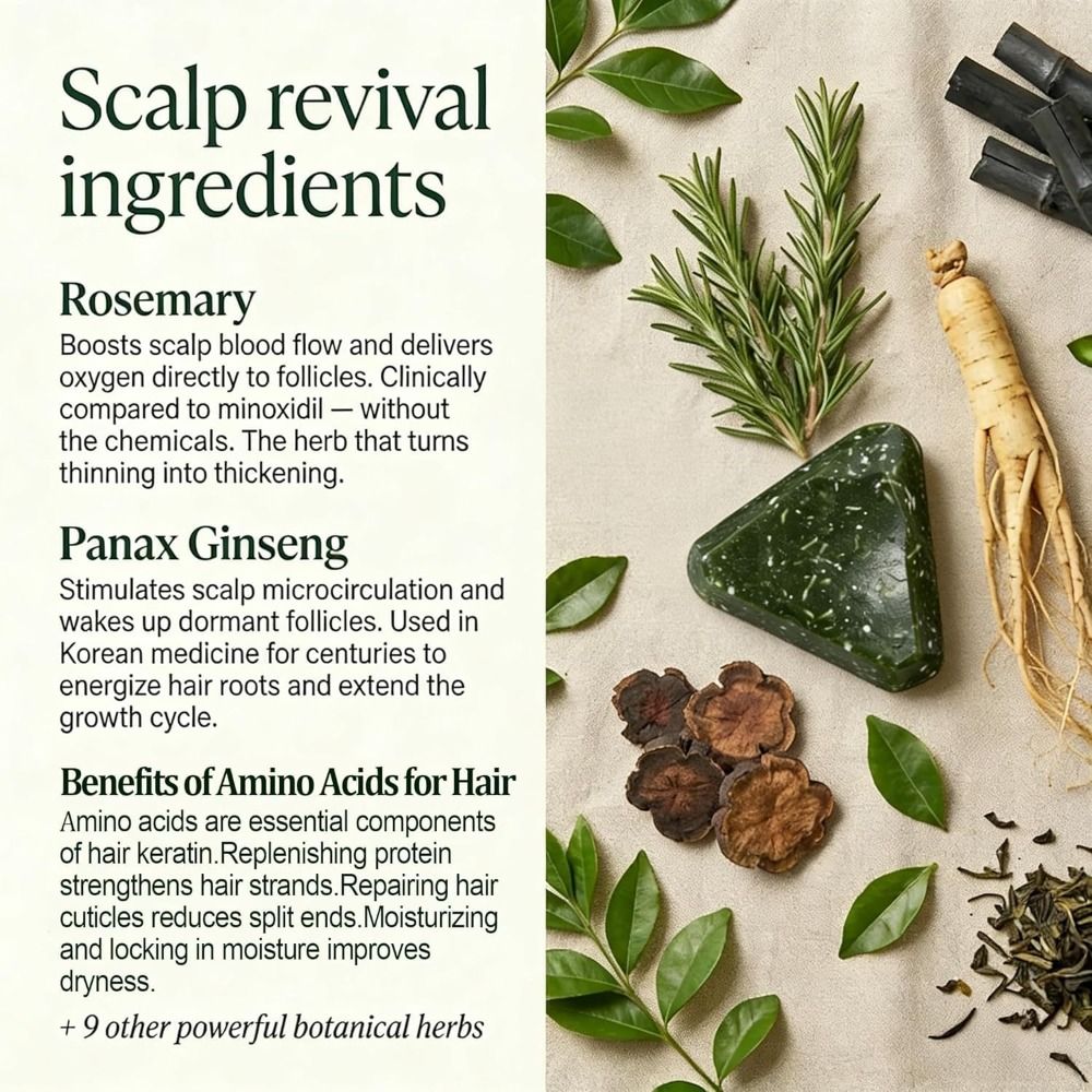 Rosemary Amino Acid Korean Sca - Hair Care Korean recension och pris